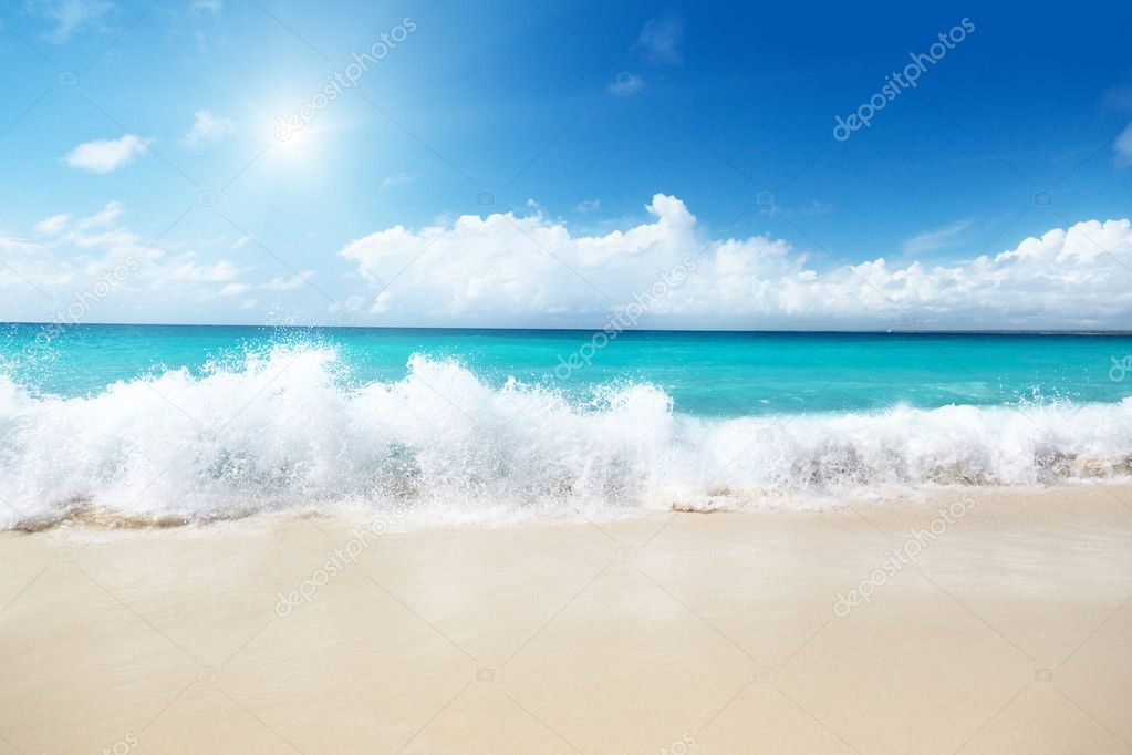 Palm mar 2