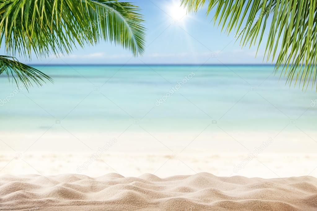 Palm mar 3